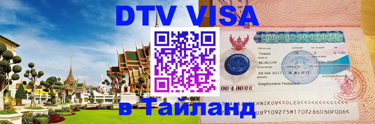 Сколько стоит DTV виза — актуальные цены, оформление даже без документов - Владикавказ 